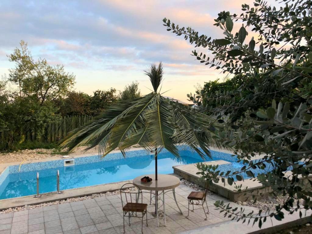 Villa Familia New Athos Exteriér fotografie